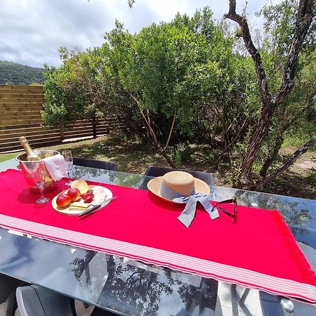 Alkantmooi Private Nature Reserve - Keurkloof & Keurbos 93 Plettenberg Bay Luaran gambar